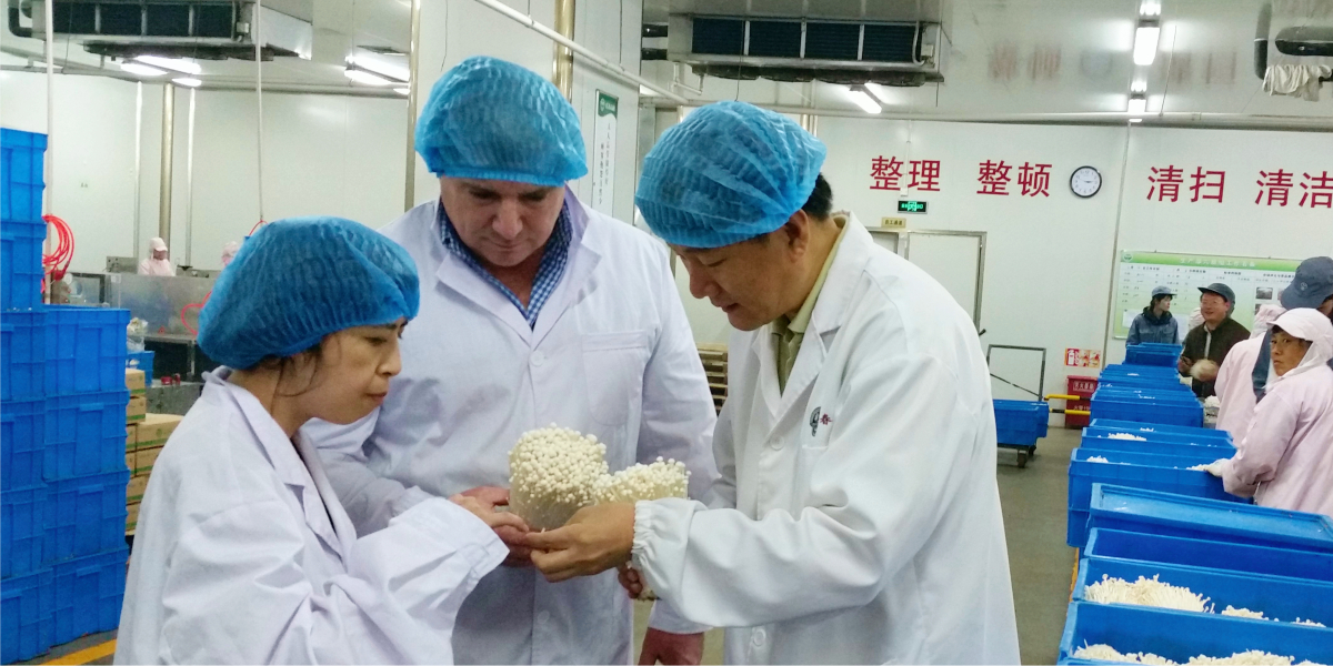 AXCEN Solves a Production Problem